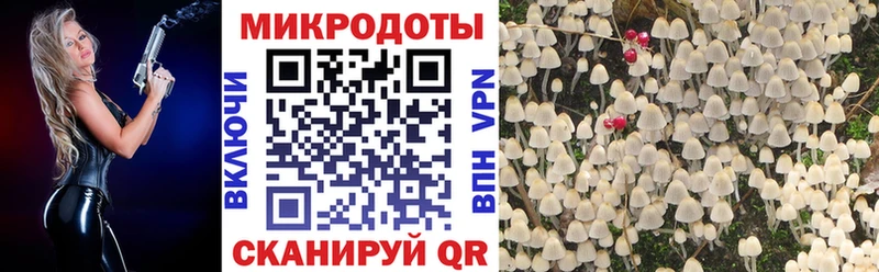 Купить закладки  Кисловодск  Псилоцибиновые грибы ЛСД 